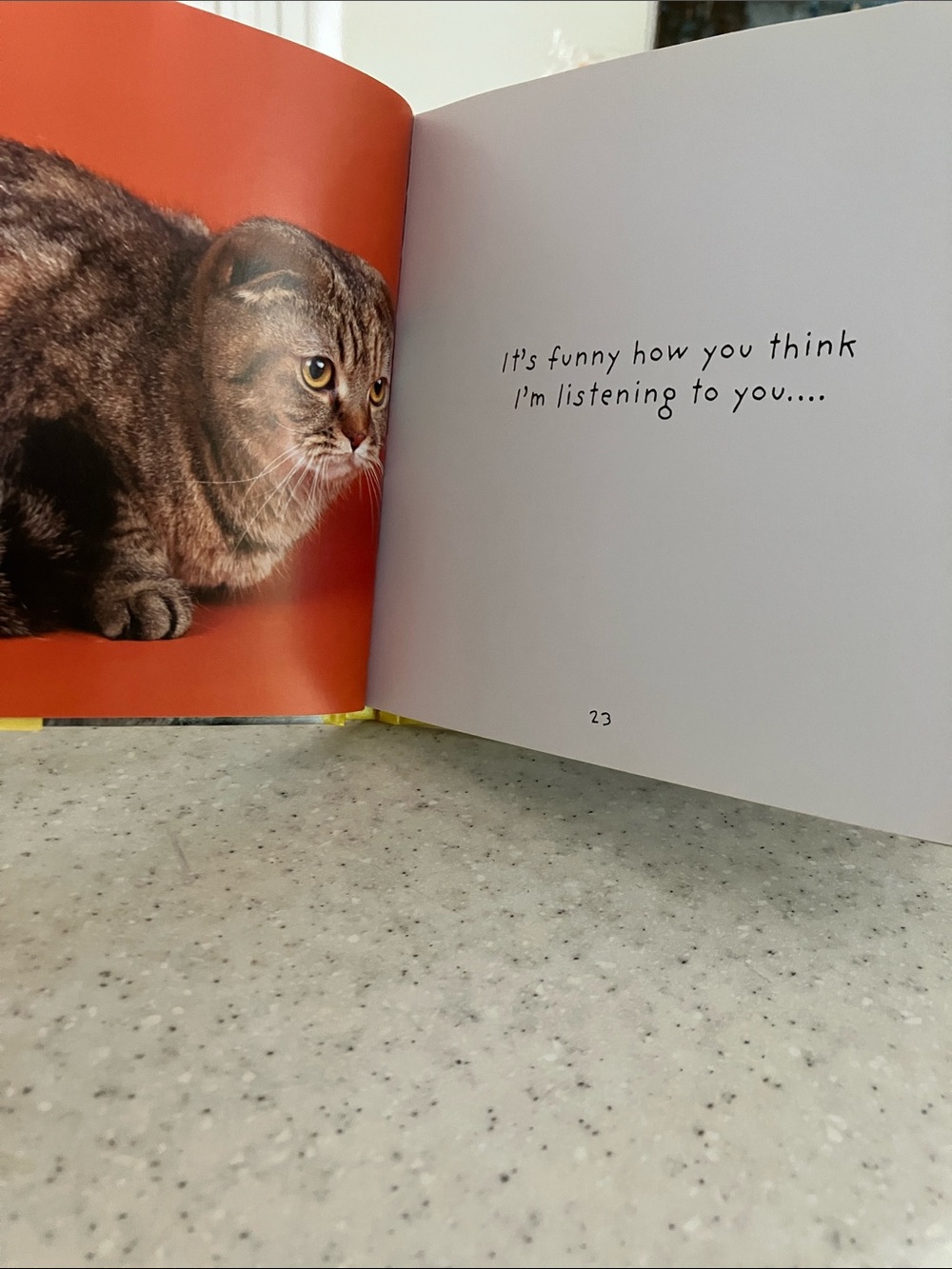 World of Cranky Cats Hardcover Full of Cattitude - Picture 6 of 7